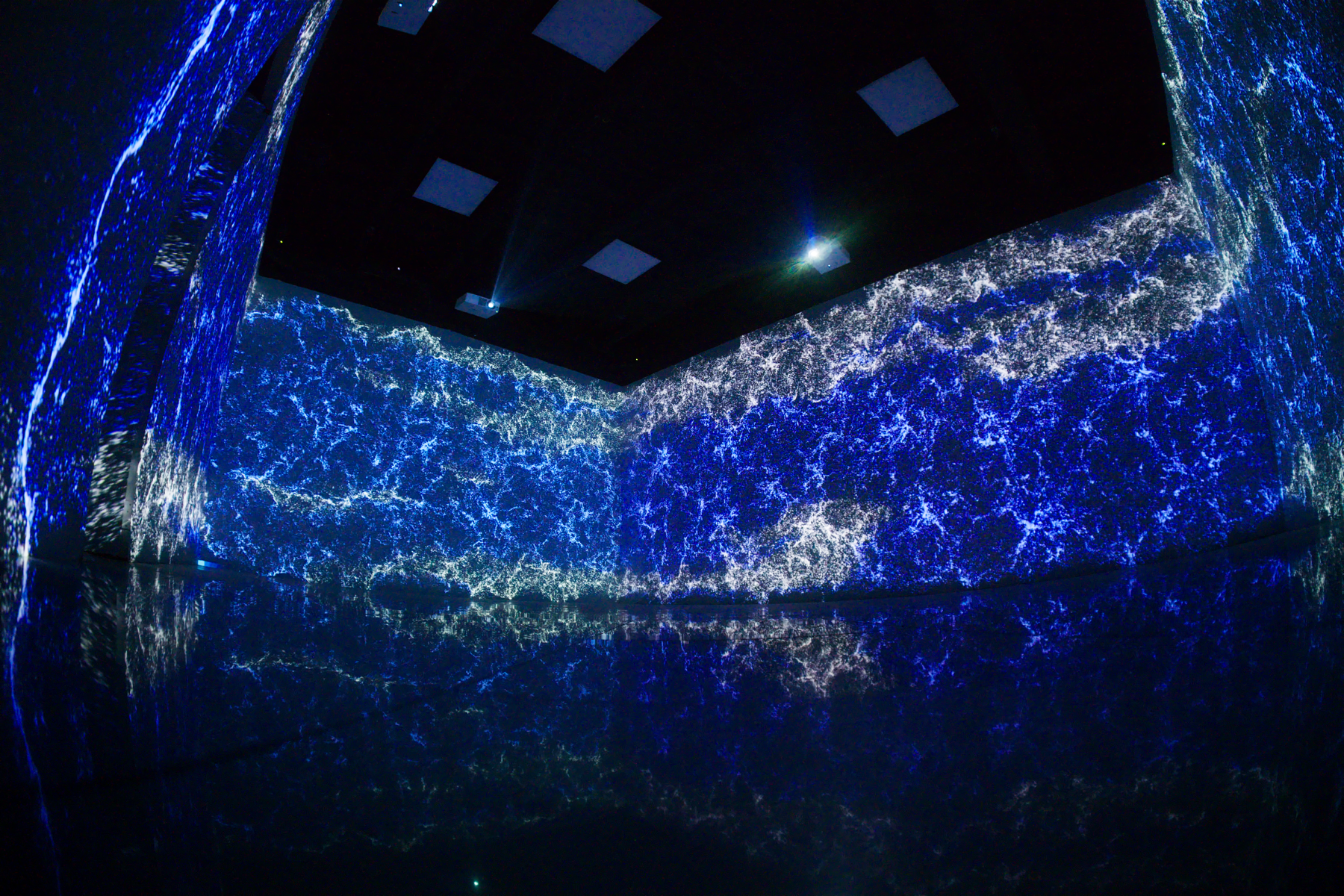 Instalación inmersiva de El Holobionte durante la inauguración